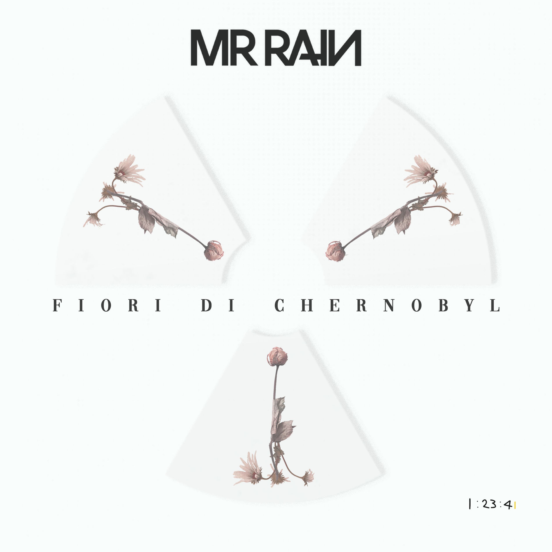 Mr. Rain cover
