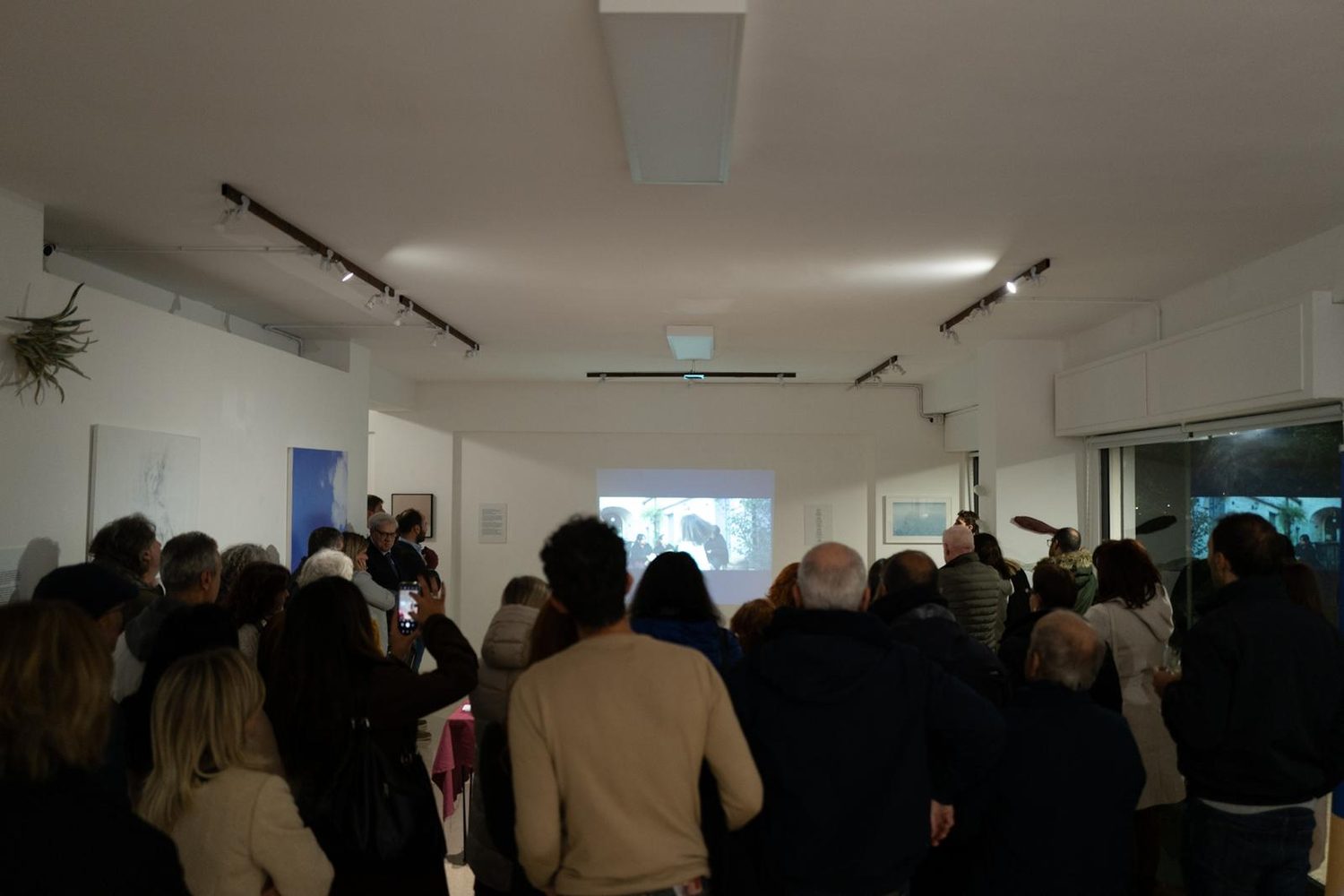 Il pubblico, di spalle, guarda un video proiettato sulla parete della galleria